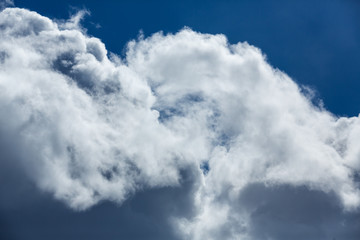 Obraz premium Blue sky covered in large puffy cumulonimbus cloud formations