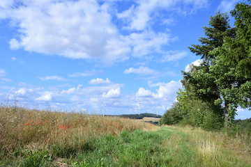 Local area in German