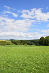 Local area in German