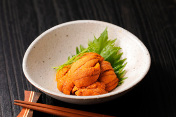 うに　Sea urchin