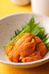 うに　Sea urchin