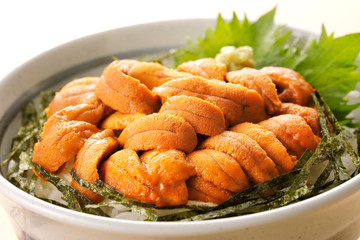 ウニ丼　Bowl of rice topped with sea urchin