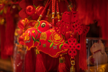 Fototapeta na wymiar Chinese New Year celebration
