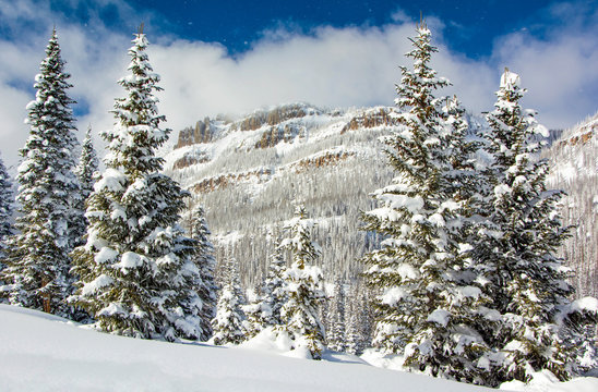 Wolf Creek Pass Winter