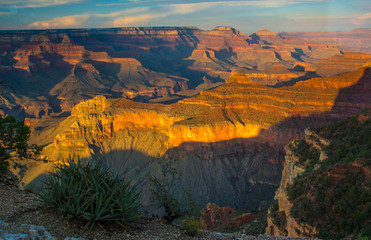 Grand Canyon Light