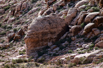 Big rock