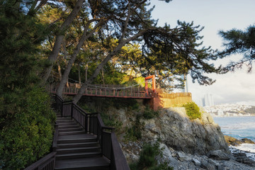 dongbaekseom island pathway