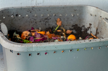 Worm vermiculture compost with rotting food scraps for gardening hobby, making natural fertilizer...