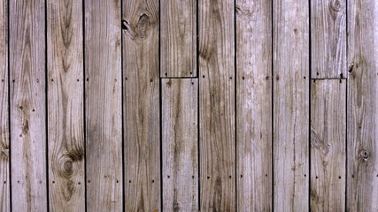 Wood Background