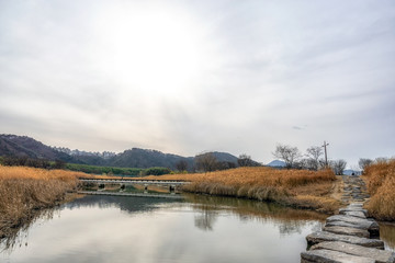 taehwagang park reeds bridge