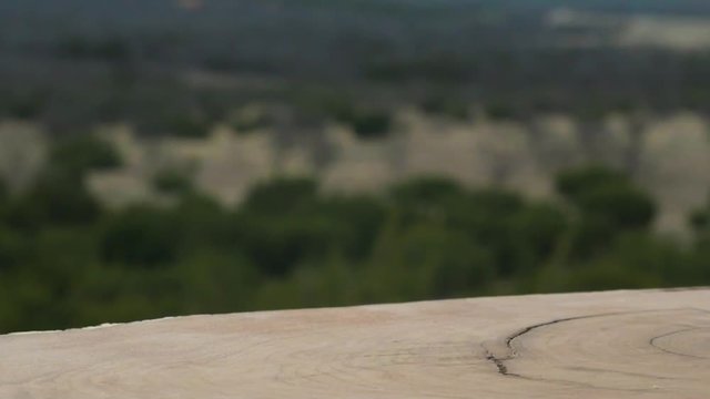 Knocking perscriptions off the table in slow motion