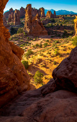 View From The Ledge