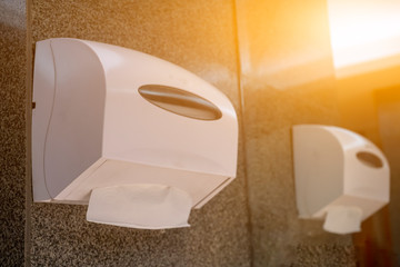 Tissue paper role in toilet on cement wall, Tissue paper box, Tissue paper towel.