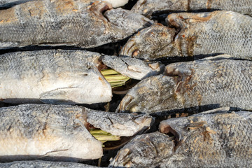 Thai street vendor sells grilled fish at street market in Koh Phangan, Thailand. Close up
