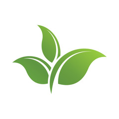 leaf logo icon design template vector