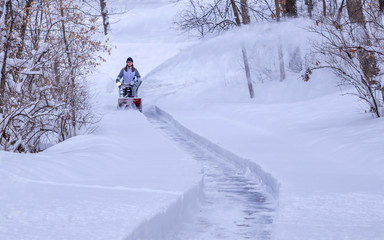 A young gilr is cleaning the snow after a snow storm