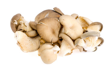 Pile of fresh raw oyster mushrooms isolated on white background