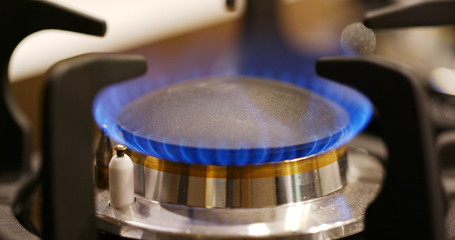 Gas stove burner