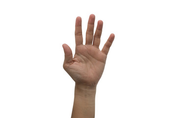 Naklejka premium One hand raised high up isolated on white background.