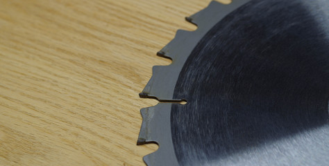 Closeup of 10" carbide-toothed sawblade with sap on teeth and blade body. Will need to be cleaned to reduce friction.