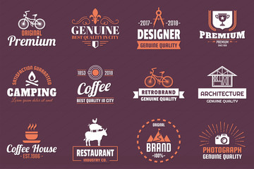Vintage Retro Vector Logo for banner