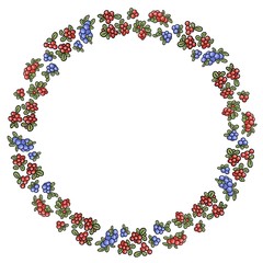 Red and blue winter berries colorful wreath. Vector ornament