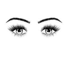 Hand drawn female eyes silhouette. Eyes with eyelashes and eyebrows. Vector illustration isolated on white background