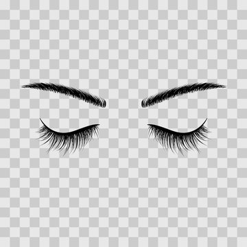 Black Eyebrows And Eyelashes Eyes Closed. Advertising False Eyelashes. Vector Illustration Isolated On Transparent Background