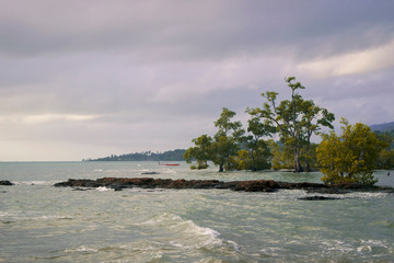 beach and sea