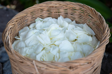 Beautiful flowers in a basket