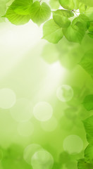 Green spring background with bokeh light for cell phone wallpaper