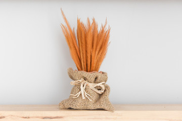 dried plant on the shelf for decoration