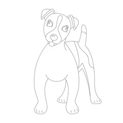 Terrier Jack Russell puppy,vector illustration, lining draw