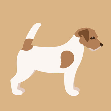 recommend clip art: Terrier Jack Russell puppy,vector illustration,flat  style,