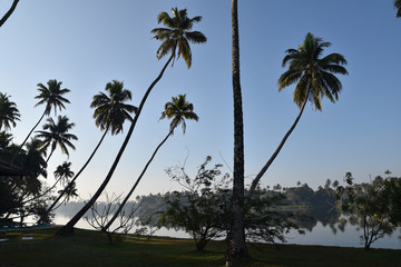 Fototapeta na wymiar Lever de soleil au Kerala, Inde du Sud