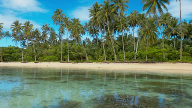 Tropical vibrant natural beach on Samoa Island with palm trees