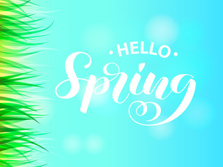 Spring glade with green grass. Spring hello lettering. Vector illustration