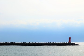 防波堤から釣りをする人々