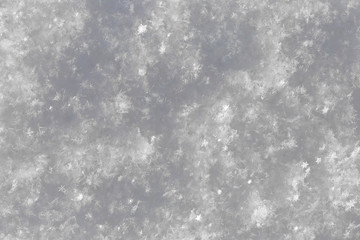 Gray snow surface texture with snowflakes. Winter background.