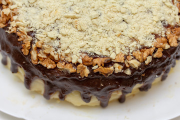 Walnuts and chocolate icing decorate this cake