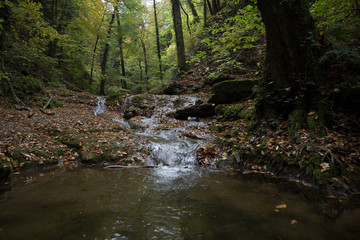 Stream in a mountain gorge in the autumn forest.