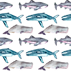 Obraz premium Seamless pattern with gray whales, shark tiger,blue whales, sperm whales. Can be used for wallpaper, web page background, surface textures.