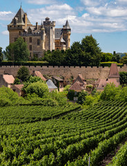 Fototapeta na wymiar Chateau de Montfort - Dordogne - France