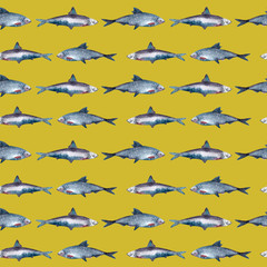 Watercolor seamless pattern. Sardine, Sardina pilchardus. Small fish drawn watercolor and poin style. Anchovy, capelin, sardine for seafood menu. Coloring book page design for adults and kids