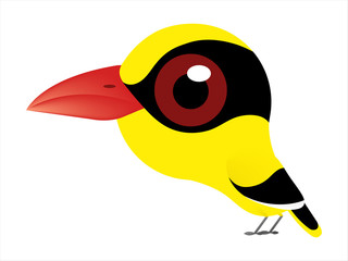 Bird cartoon, Big eyes cute bird, Black-naped Oriole.