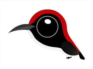 Bird cartoon, Big eyes cute bird, Scarlet-backed Flowerpecker.