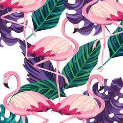 tropical flamingos cartoon
