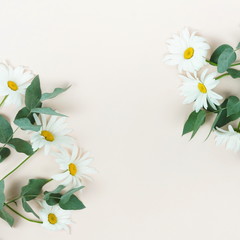 Flowers composition background. bouquet of flowers camomiles and green eucalyptus branches on pale beige background. Flowers frame. Valentine's day, women's day concept.Top view. Copy space