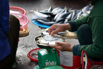 closeup of hands weighting fresh fish on market