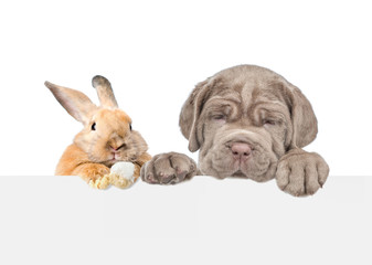 Dog and rabbit above empty white banner. isolated on white background. Empty space for text